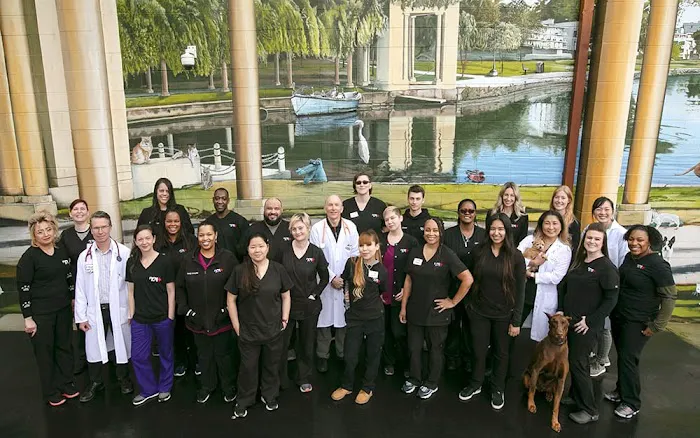 VCA Broadway Animal Hospital Picture 7