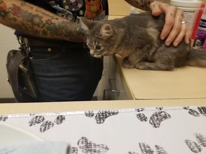 VCA Broadway Animal Hospital Picture 8