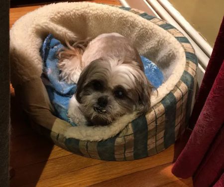 Heart's Ease Veterinary Care