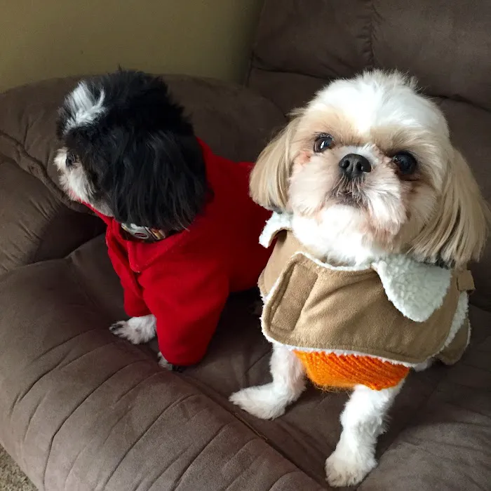 Heart's Ease Veterinary Care Picture 8