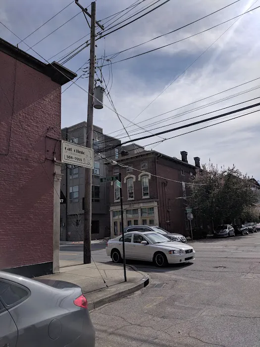 Cat Clinic of Louisville Picture 10