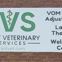 Avant Veterinary Services ico