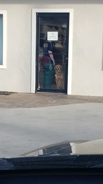 Crescent Hill Animal Hospital Picture 6