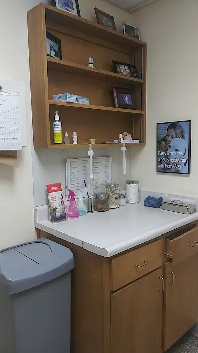 Shively Animal Clinic & Hospital: Cohn Rachel DVM Picture 7