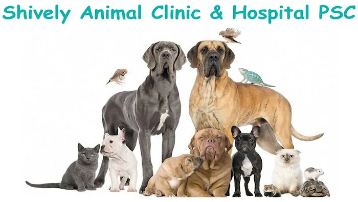 Shively Animal Clinic & Hospital Picture 2