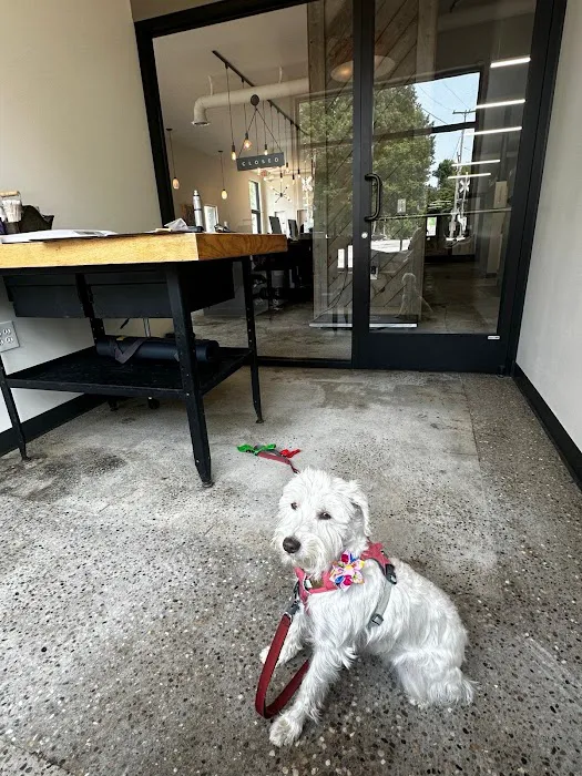 Urban Village Veterinary Care Picture 8