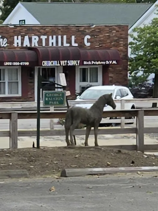 Churchill Veterinary Supply Co Picture 8