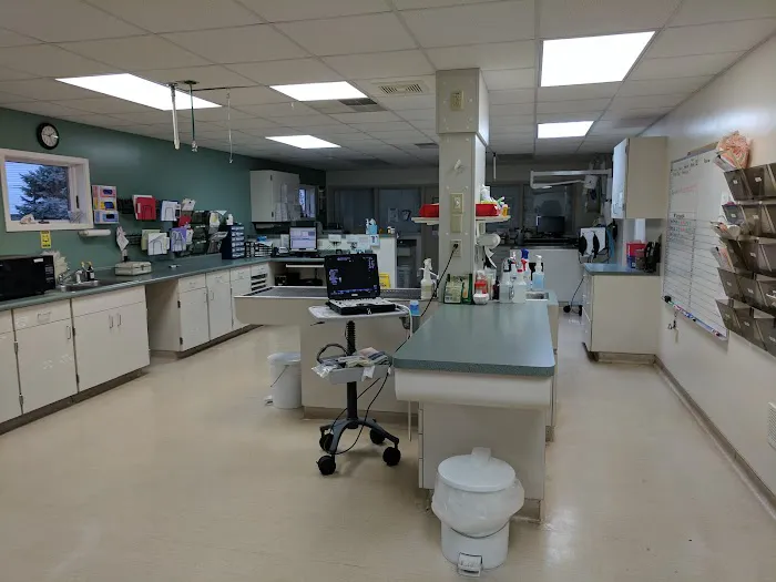Eastside Animal Hospital Picture 3