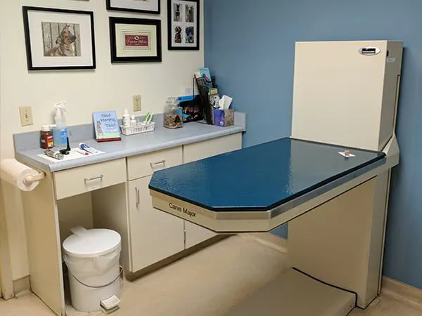 Eastside Animal Hospital Picture 2