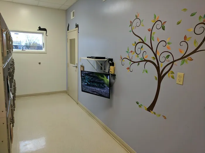 Eastside Animal Hospital Picture 5