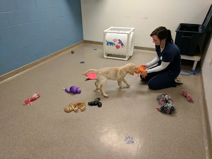 Eastside Animal Hospital Picture 6
