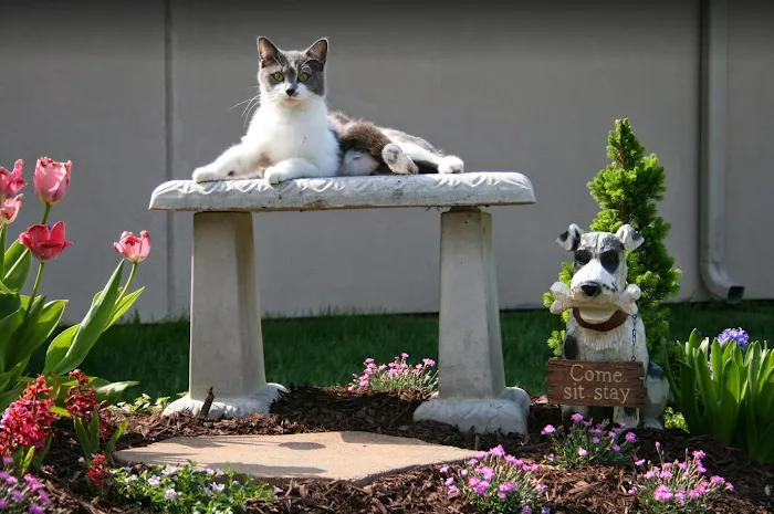 Eastside Animal Hospital Picture 9