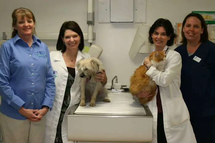 Eastside Animal Hospital Picture 7