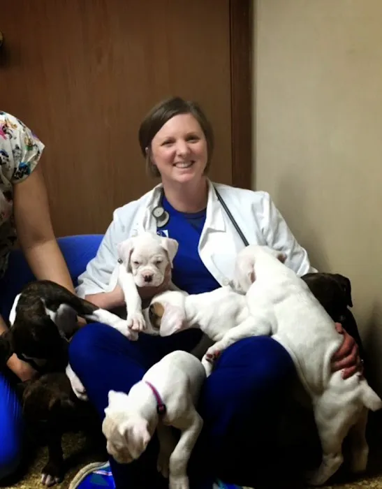 Animal Medical Center of Miamisburg Picture 6
