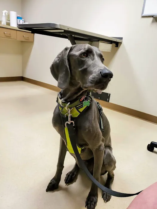 The Ohio State University Veterinary Medical Center at Dublin URGENT CARE Picture 1