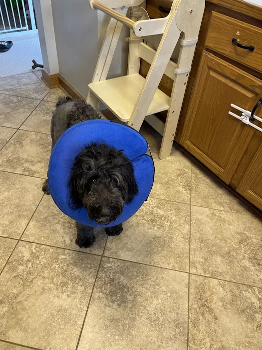 The Ohio State University Veterinary Medical Center at Dublin URGENT CARE Picture 9