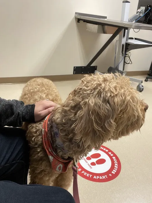 The Ohio State University Veterinary Medical Center at Dublin URGENT CARE Picture 7