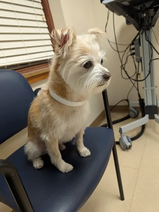 The Ohio State University Veterinary Medical Center at Dublin URGENT CARE Picture 10