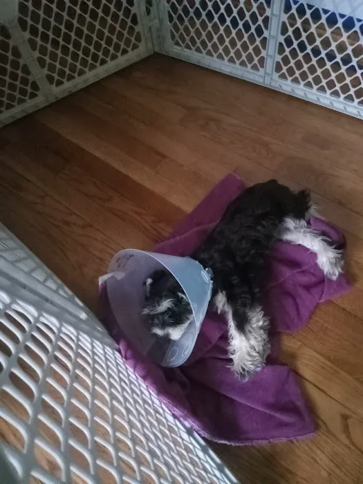 Leipsic Veterinary Service, Inc. Picture 6