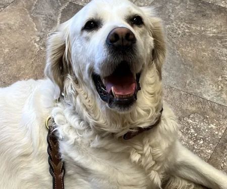 Ottawa Veterinary Clinic