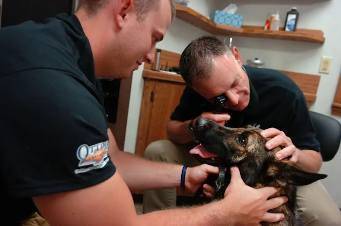 Ottawa Veterinary Clinic Picture 3