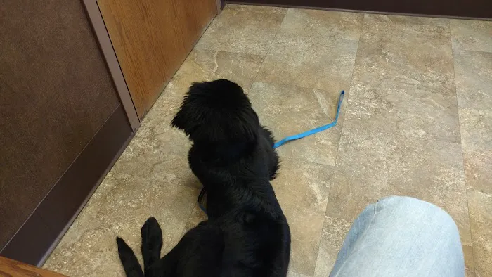 Ottawa Veterinary Clinic Picture 7