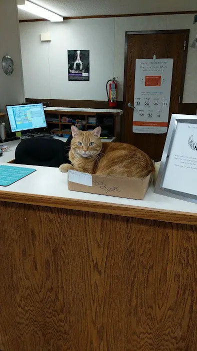 Ottawa Veterinary Clinic Picture 9