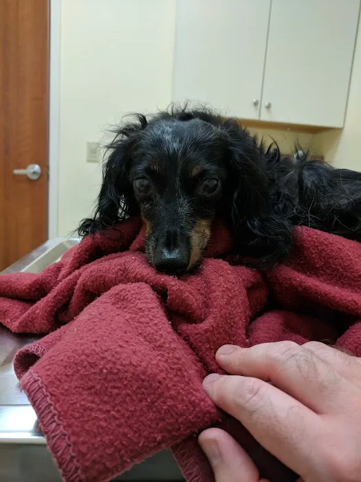West Central Ohio Veterinary Picture 6