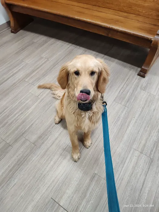 Diamond M Veterinary Clinic Inc Picture 1