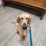 Diamond M Veterinary Clinic Inc