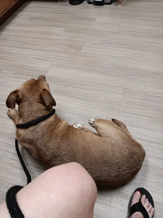 Diamond M Veterinary Clinic Inc Picture 8