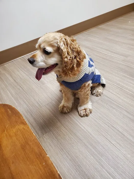 Diamond M Veterinary Clinic Inc Picture 6