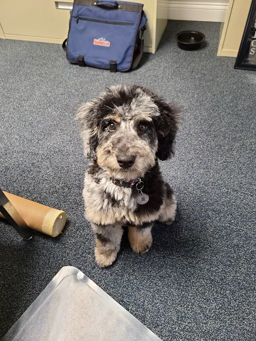 Diamond M Veterinary Clinic Inc Picture 9