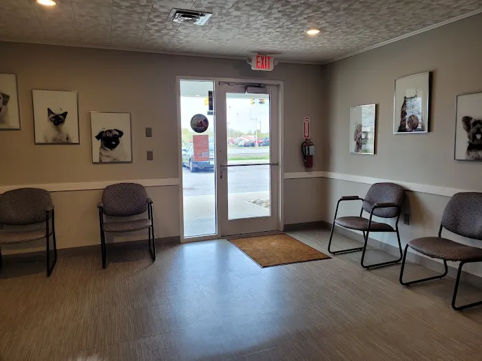 Heidt Veterinary Hospital Picture 5
