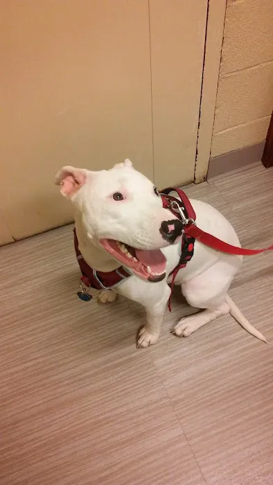 Heidt Veterinary Hospital Picture 7
