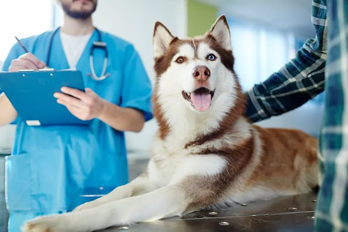 Shawnee Veterinary Hospital Picture 1