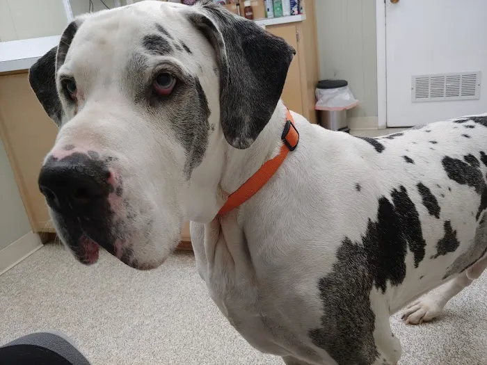 Baker Animal Hospital Picture 2