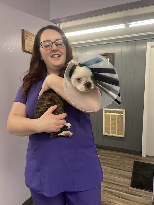 Baker Animal Hospital Picture 10