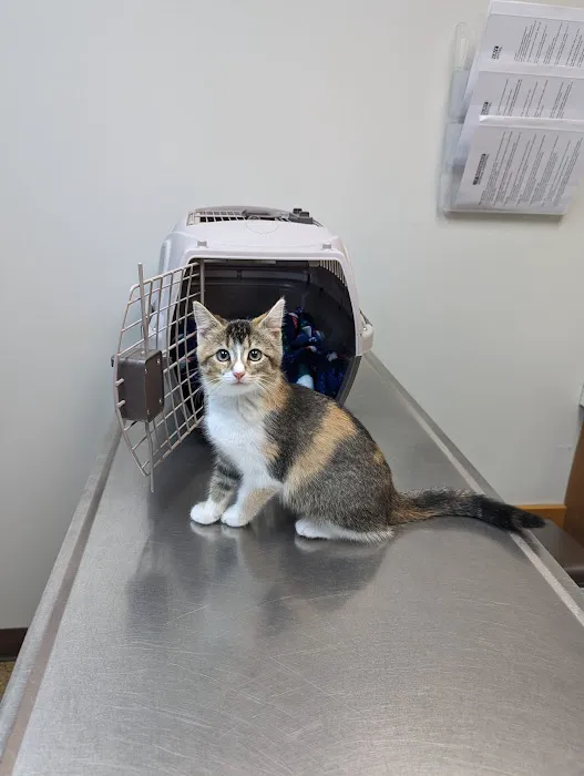 Midway Animal Hospital Picture 4