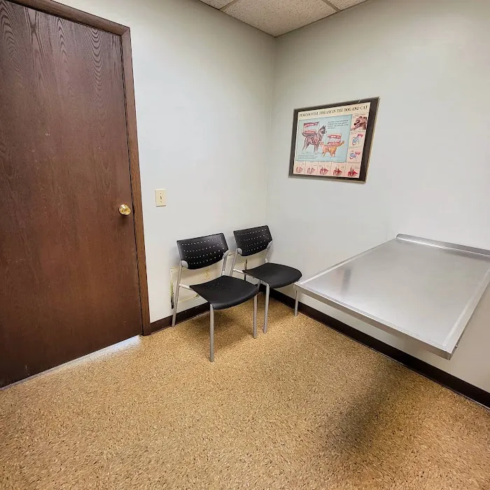 Midway Animal Hospital Picture 5