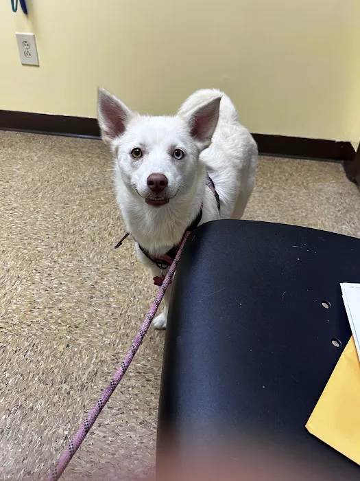 Midway Animal Hospital Picture 6