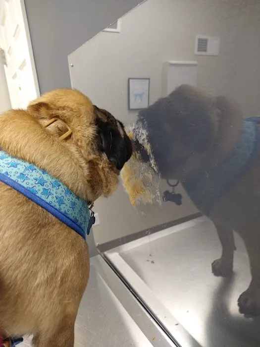 Animal Hospital at West Ridge Picture 7
