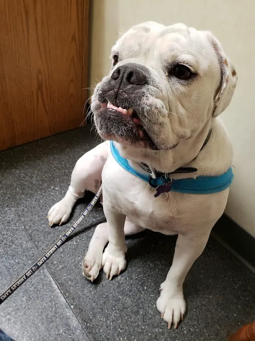 Brannan Veterinary Clinic Picture 2