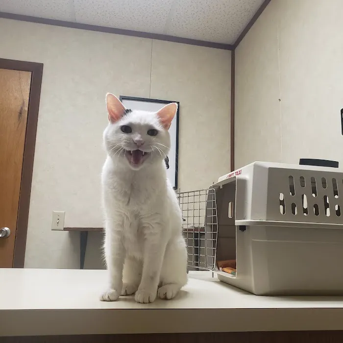 Brannan Veterinary Clinic Picture 10