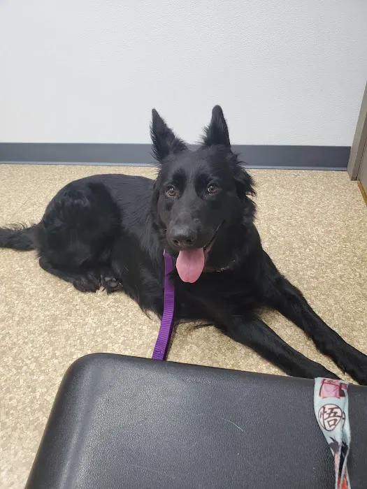 North Side Animal Clinic Inc Picture 2