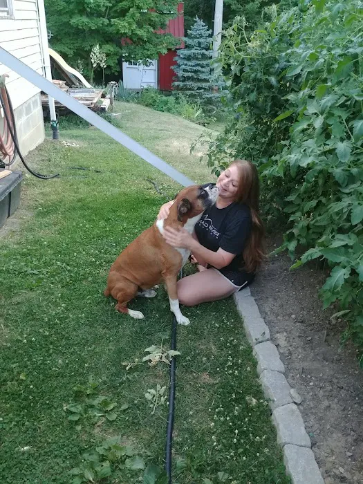 North Side Animal Clinic Inc Picture 8