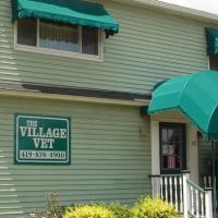 The Village Vet ico