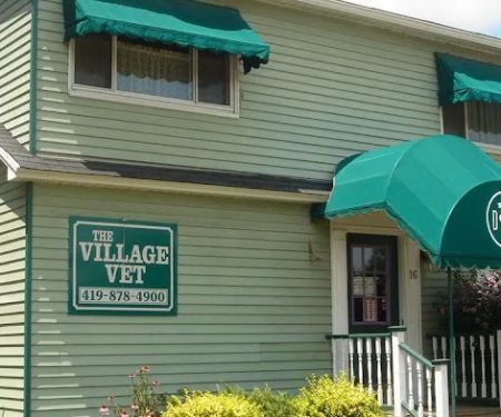 The Village Vet