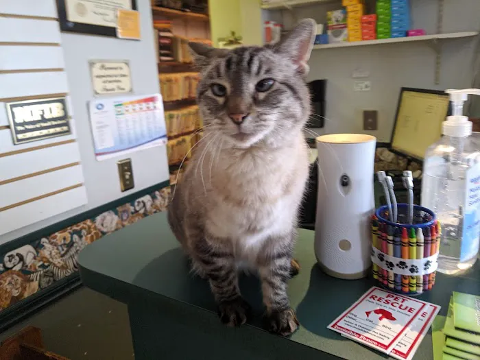 The Village Vet Picture 9