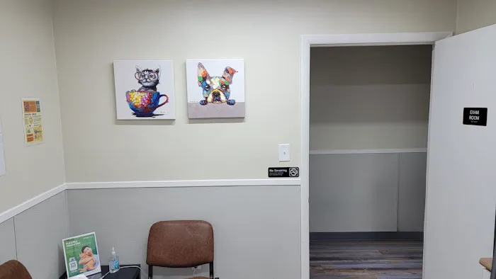 The Bridge Urgent Pet Care Picture 4